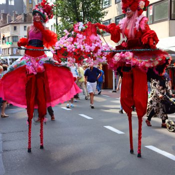 braderie zaterdag (137)